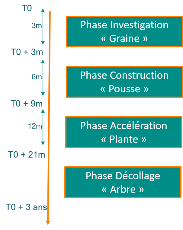 Timeline Studio